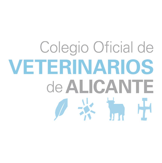 Sesiones clínicas de dermatología en animales de compañía. 