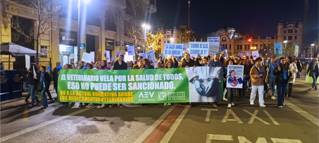 El CVCV logra que el Ayuntamiento de Valencia, Les Corts y el Senado apoyen las protestas de todos los veterinarios españoles