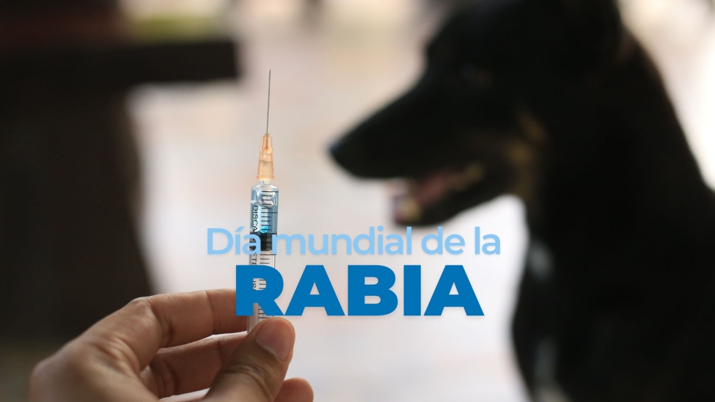  Campaña de Concienciación sobre la Rabia en el Día Mundial contra la Rabia