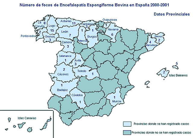 Evolución de la encefalopatía espongiforme bovina (EEB) en España