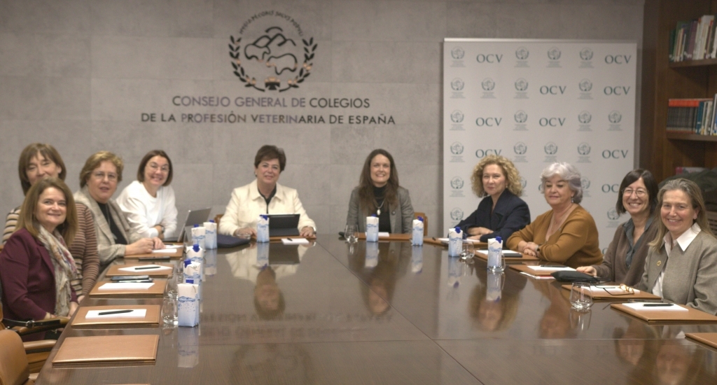 Las presidentas de los colegios provinciales comparten experiencias y animan a participar en responsabilidades institucionales