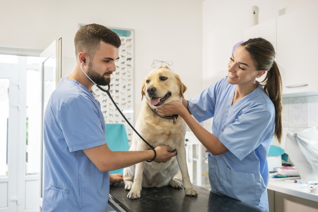 NOTA POSICIONAMIENTO ESPECIALIDADES VETERINARIAS