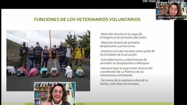El veterinario en emergencias: la gestión de los perros de refugiados ucranianos y durante el volcán de La Palma