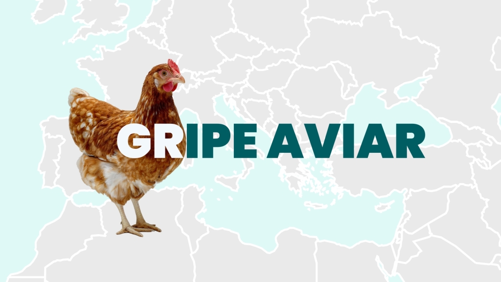 La OCV llama a la calma e insiste en que el contagio de influenza aviar a humanos es muy excepcional