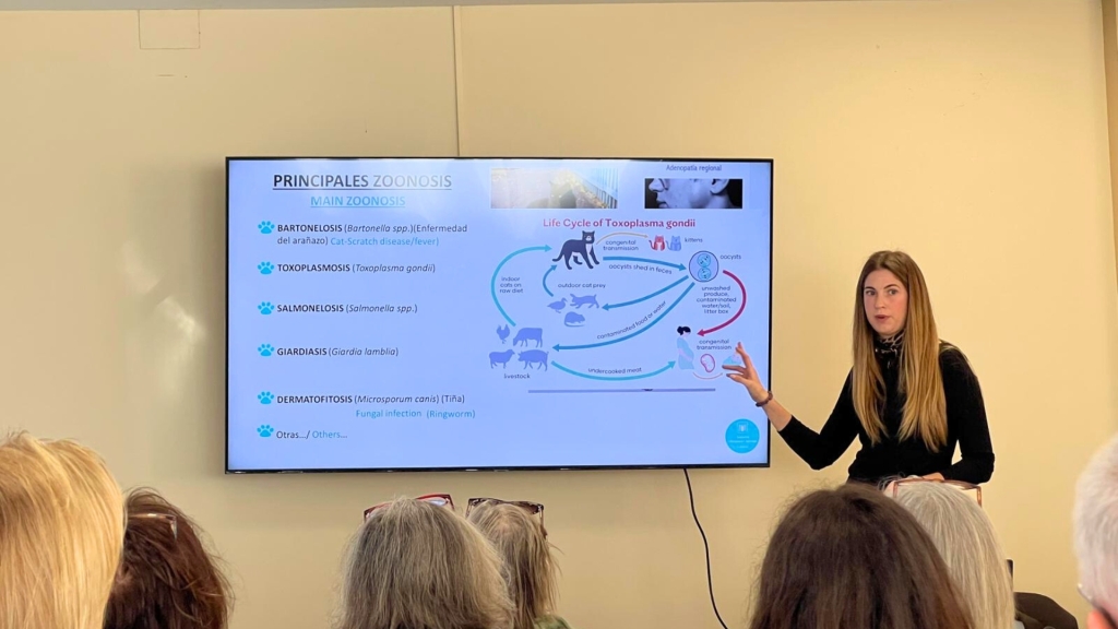 Altea pone en valor el papel de los veterinarios municipales en la gestión ética de colonias felinas