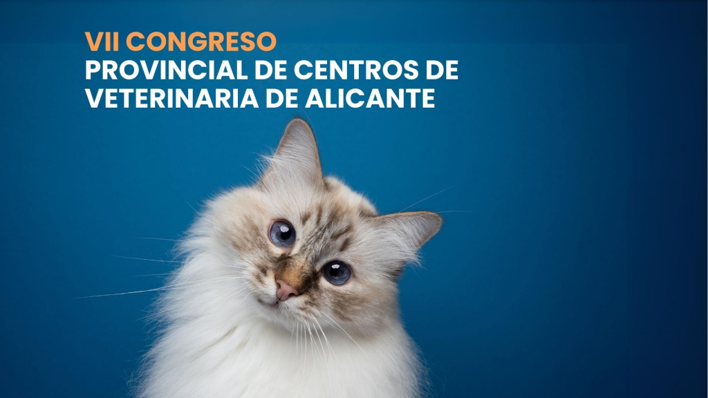 VII Congreso Provincial de Centros de Veterinaria de Alicante se celebrará el 29 y 30 de noviembre de 2024