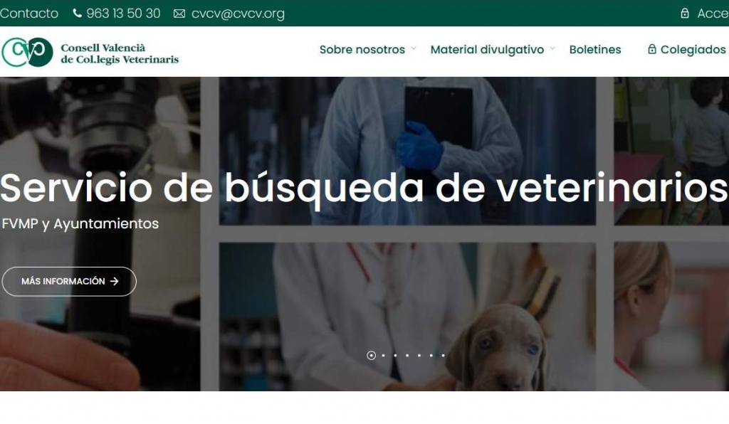 Castellón tendrá veterinario municipal, ¿harán más contrataciones otros ayuntamientos?